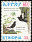 Rüppell's Black Chat Myrmecocichla melaena  1993 Endemic birds of Ethiopia 