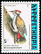Abyssinian Woodpecker Dendropicos abyssinicus  1998 The Golden-backed Woodpecker 