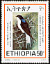 White-tailed Swallow Hirundo megaensis  2001 Endemic birds of Ethiopia 