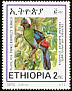 Ruspoli's Turaco Menelikornis ruspolii  2001 Endemic birds of Ethiopia 