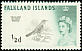 Austral Thrush Turdus falcklandii  1960 Birds 