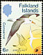 Black-browed Albatross Thalassarche melanophris