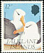 Black-browed Albatross Thalassarche melanophris  1990 Black-browed Albatross 