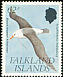 Black-browed Albatross Thalassarche melanophris