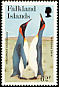 King Penguin Aptenodytes patagonicus  1991 WWF 