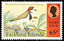 Two-banded Plover Charadrius falklandicus  1995 Shore birds 