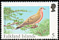 Eared Dove Zenaida auriculata  1998 Rare visiting birds 