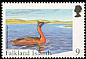 Great Grebe Podiceps major  1998 Rare visiting birds 