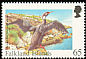 Red-legged Cormorant Poikilocarbo gaimardi  1998 Rare visiting birds 