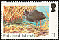 Red-fronted Coot Fulica rufifrons  1998 Rare visiting birds 