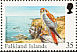 American Kestrel Falco sparverius  1998 Rare visiting birds Booklet