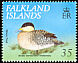 Silver Teal Spatula versicolor  1999 Ducks 