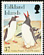 Gentoo Penguin Pygoscelis papua  2001 Gentoo Penguins 