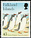 Gentoo Penguin Pygoscelis papua  2001 Gentoo Penguins 