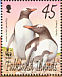 Gentoo Penguin Pygoscelis papua  2002 WWF, penguins 