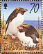 Macaroni Penguin Eudyptes chrysolophus  2002 WWF, penguins 