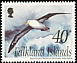 Black-browed Albatross Thalassarche melanophris