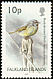White-bridled Finch Melanodera melanodera  2003 Bird definitives 