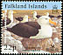 Black-browed Albatross Thalassarche melanophris  2003 BirdLife International 