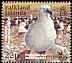 Black-browed Albatross Thalassarche melanophris  2003 BirdLife International 