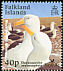 Black-browed Albatross Thalassarche melanophris  2003 BirdLife International 