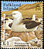 Black-browed Albatross Thalassarche melanophris