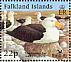 Black-browed Albatross Thalassarche melanophris