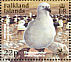 Black-browed Albatross Thalassarche melanophris