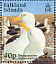 Black-browed Albatross Thalassarche melanophris  2003 BirdLife International Sheet