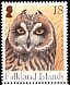 Short-eared Owl Asio flammeus  2004 Owls 