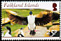 King Shag Leucocarbo albiventer  2006 Birds 