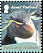 Southern Rockhopper Penguin Eudyptes chrysocome  2008 Penguins 