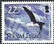 Black-browed Albatross Thalassarche melanophris  2009 Albatrosses 