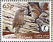 Cobb's Wren Troglodytes cobbi  2009 Falklands Conservation, Cobbs Wren Sheet