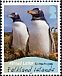 Gentoo Penguin Pygoscelis papua  2010 Penguins White frames