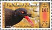 Blackish Oystercatcher Haematopus ater  2014 Colour in nature 4v set