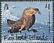 Brown Skua Stercorarius antarcticus