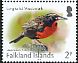 Long-tailed Meadowlark Leistes loyca  2017 Birds definitives 