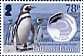 Magellanic Penguin Spheniscus magellanicus  2020 Penguins and coins 
