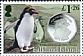 Macaroni Penguin Eudyptes chrysolophus  2020 Penguins and coins 