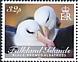 Black-browed Albatross Thalassarche melanophris