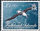 Black-browed Albatross Thalassarche melanophris  2021 Black-browed Albatross 