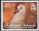 Black-browed Albatross Thalassarche melanophris