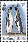 Falkland Islands 2023 King Penguin 