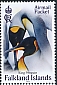 Falkland Islands 2023 King Penguin 