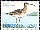 Eurasian Whimbrel Numenius phaeopus