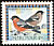 Eurasian Bullfinch Pyrrhula pyrrhula