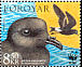 Leach's Storm Petrel Hydrobates leucorhous  2005 WWF 