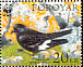 European Storm Petrel Hydrobates pelagicus  2005 WWF 