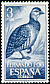 Ring-necked Francolin Scleroptila streptophora  1964 Birds 